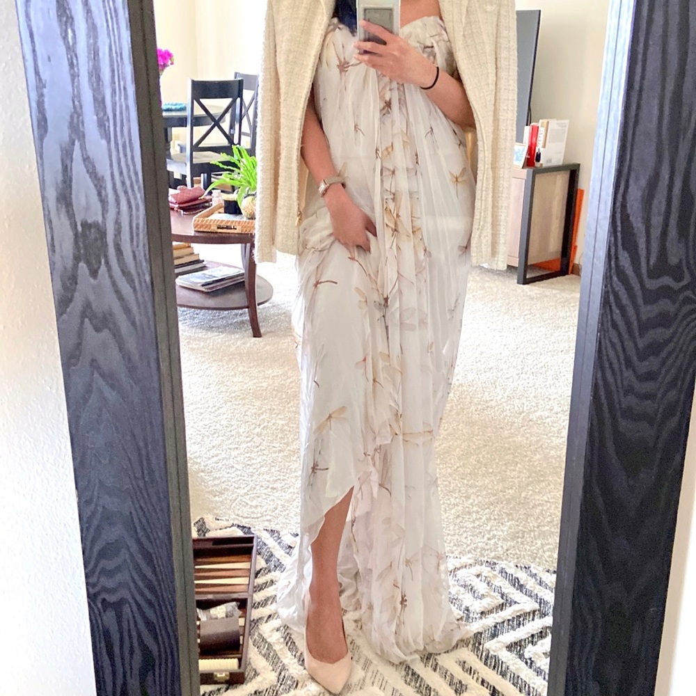 Alexander McQueen Silk Dragonfly long gown